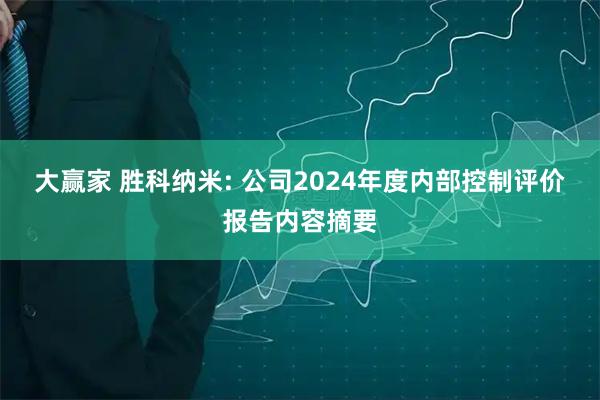 大赢家 胜科纳米: 公司2024年度内部控制评价报告内容摘要