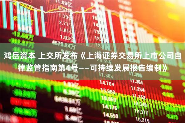 鸿岳资本 上交所发布《上海证券交易所上市公司自律监管指南第4号——可持续发展报告编制》