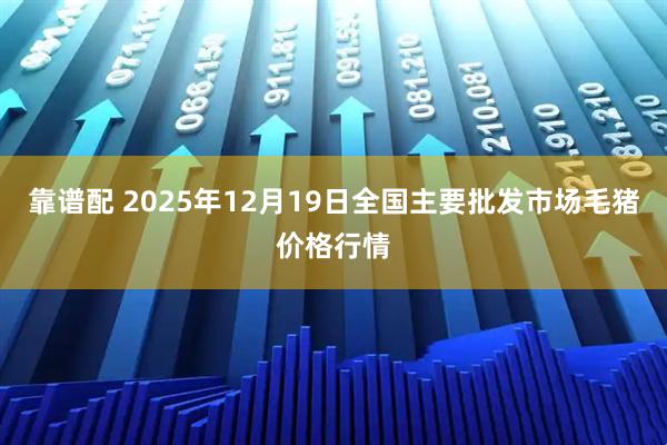 靠谱配 2025年12月19日全国主要批发市场毛猪价格行情